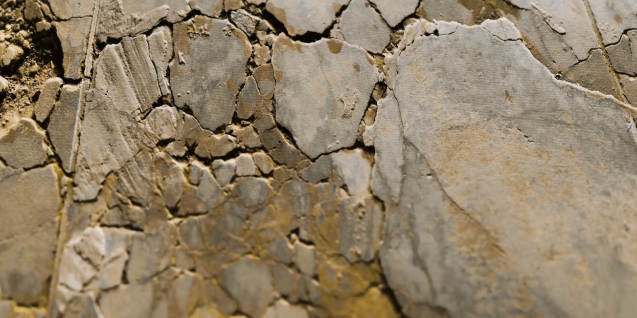 cracks in walls foundation damage foundation damage